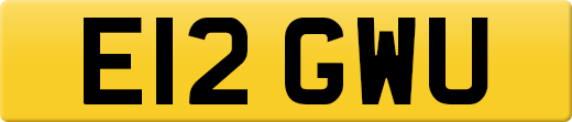 E12GWU